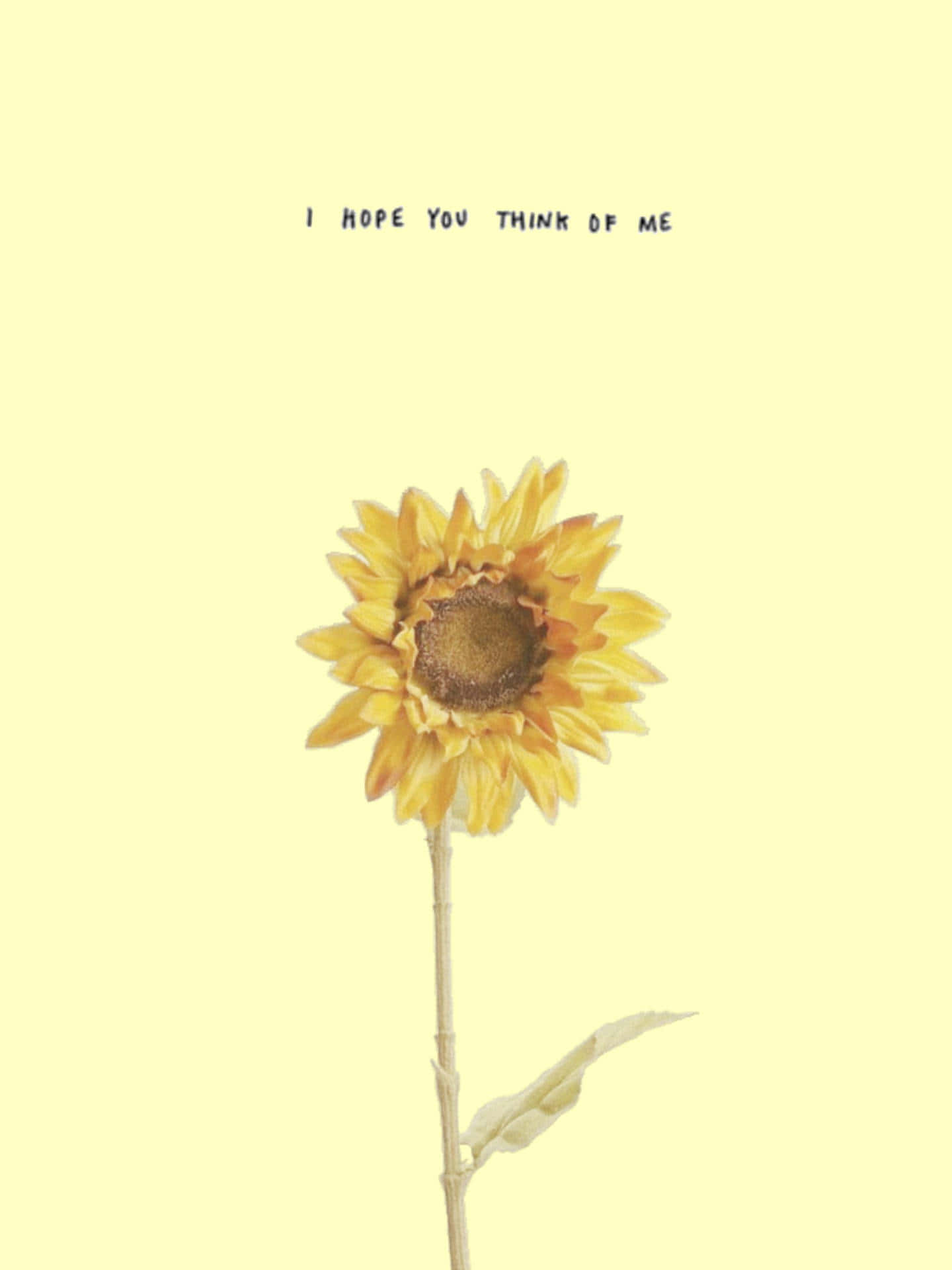 Lonely Sunflower Yellow Tumblr Aesthetic Background