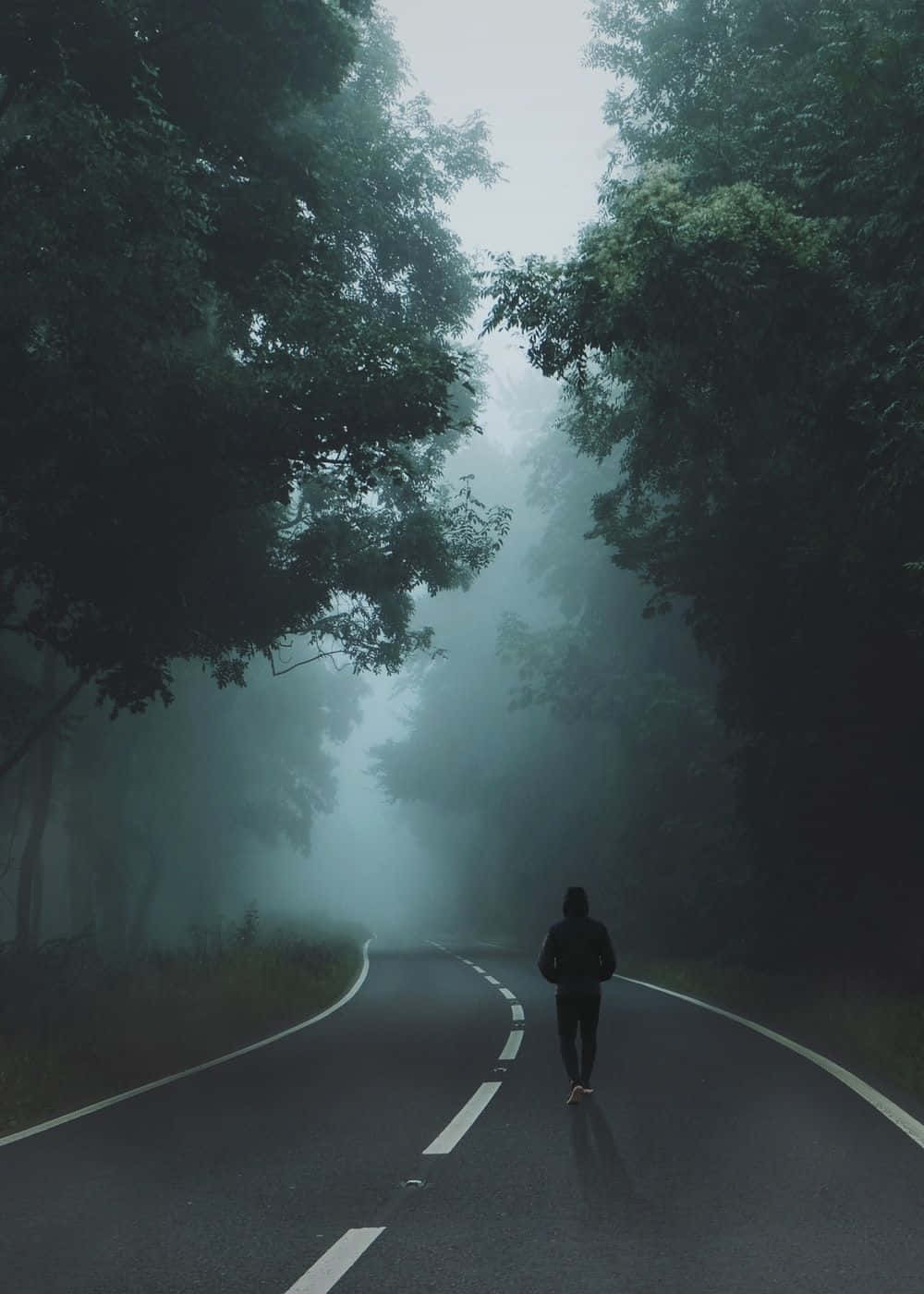 Loner Walking On Road