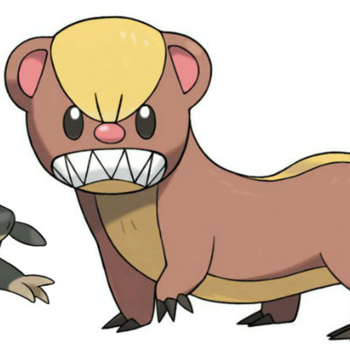 Long Body Pokémon Yungoos