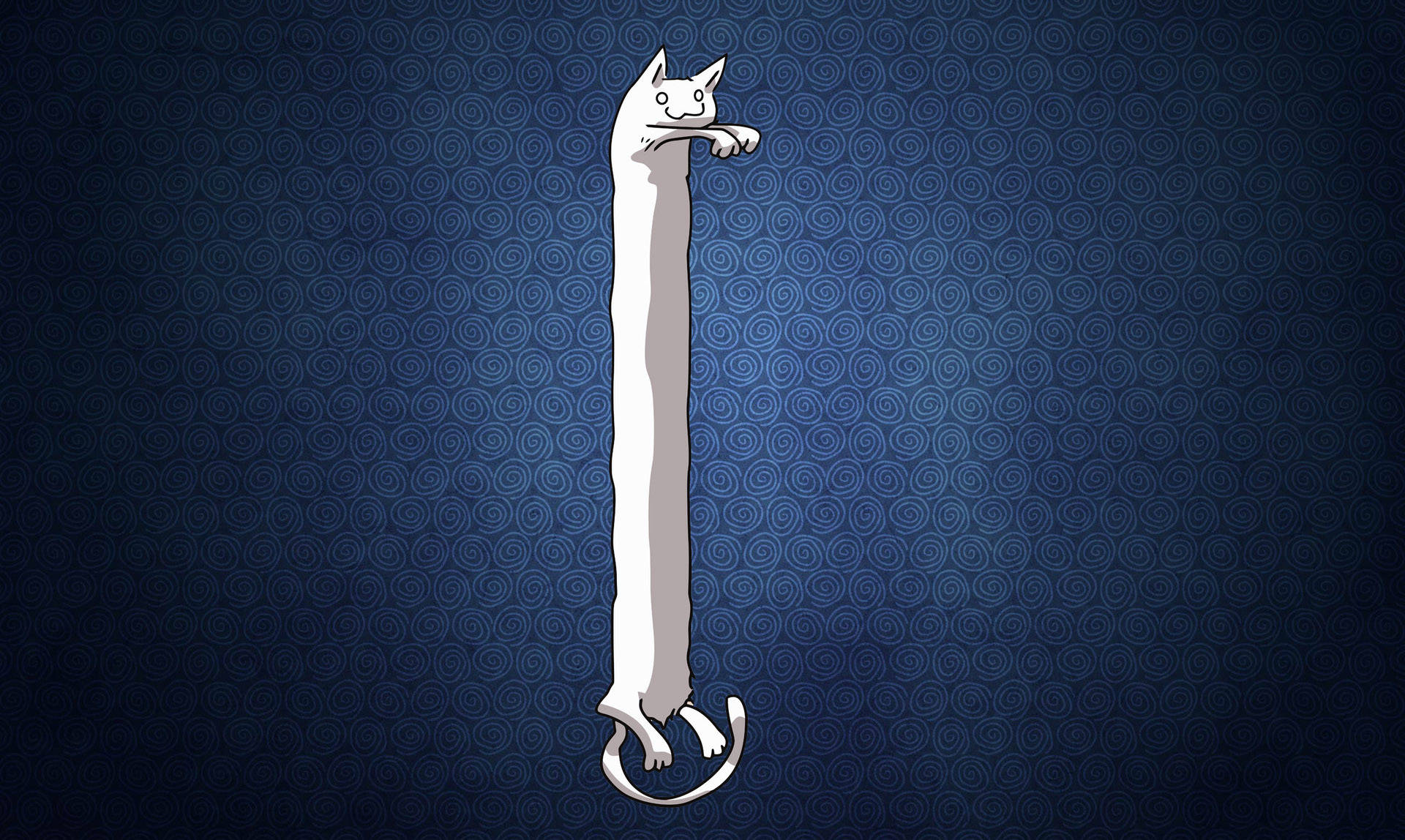 Long Cat Stretching Its Way To Success Background