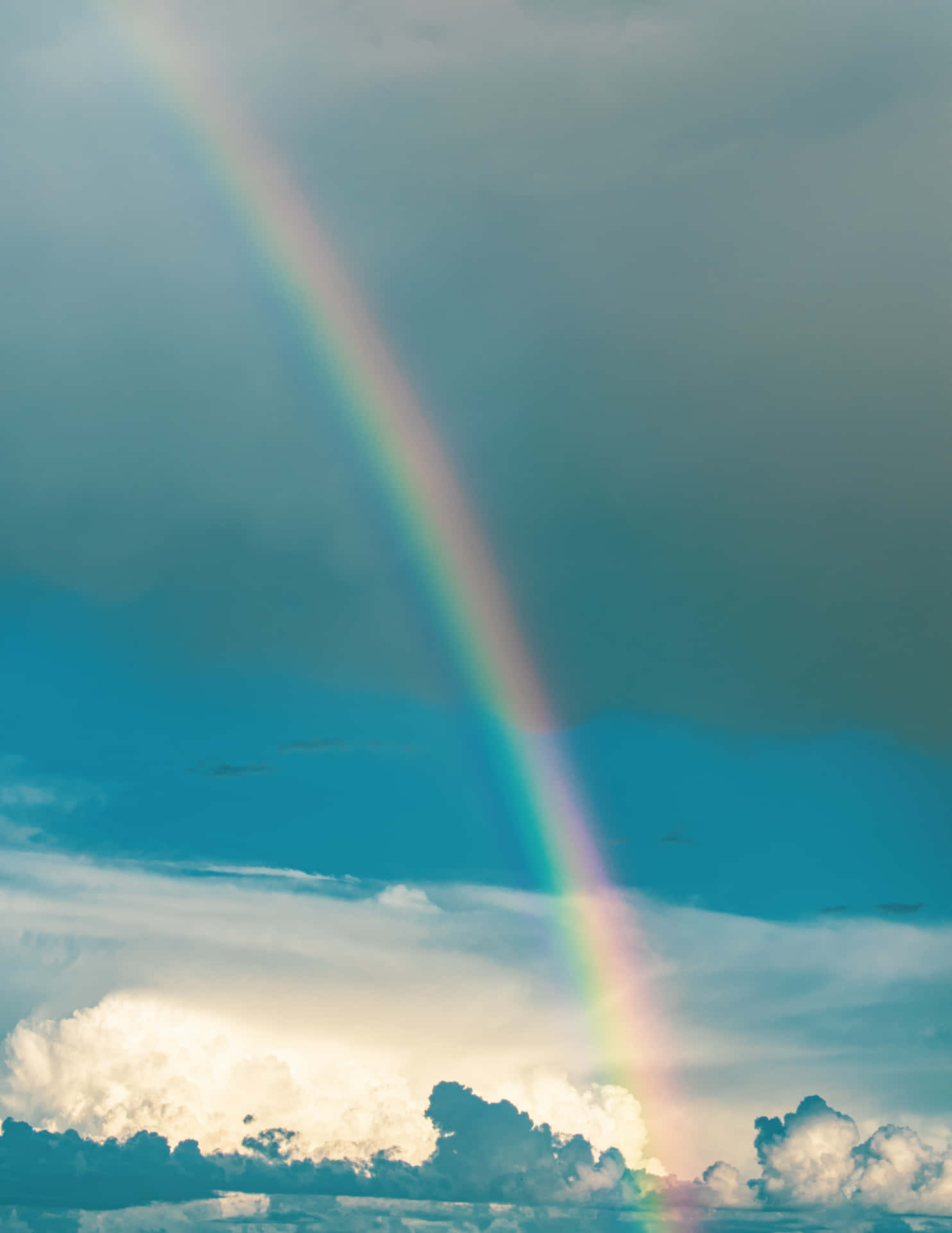 Long Cute Rainbow Background