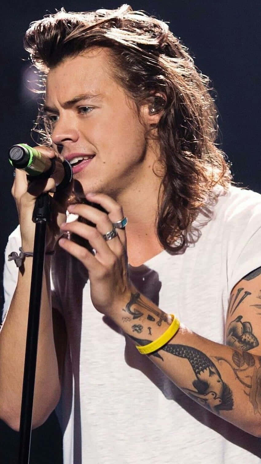Long Hair Harry Styles Pfp Ideas