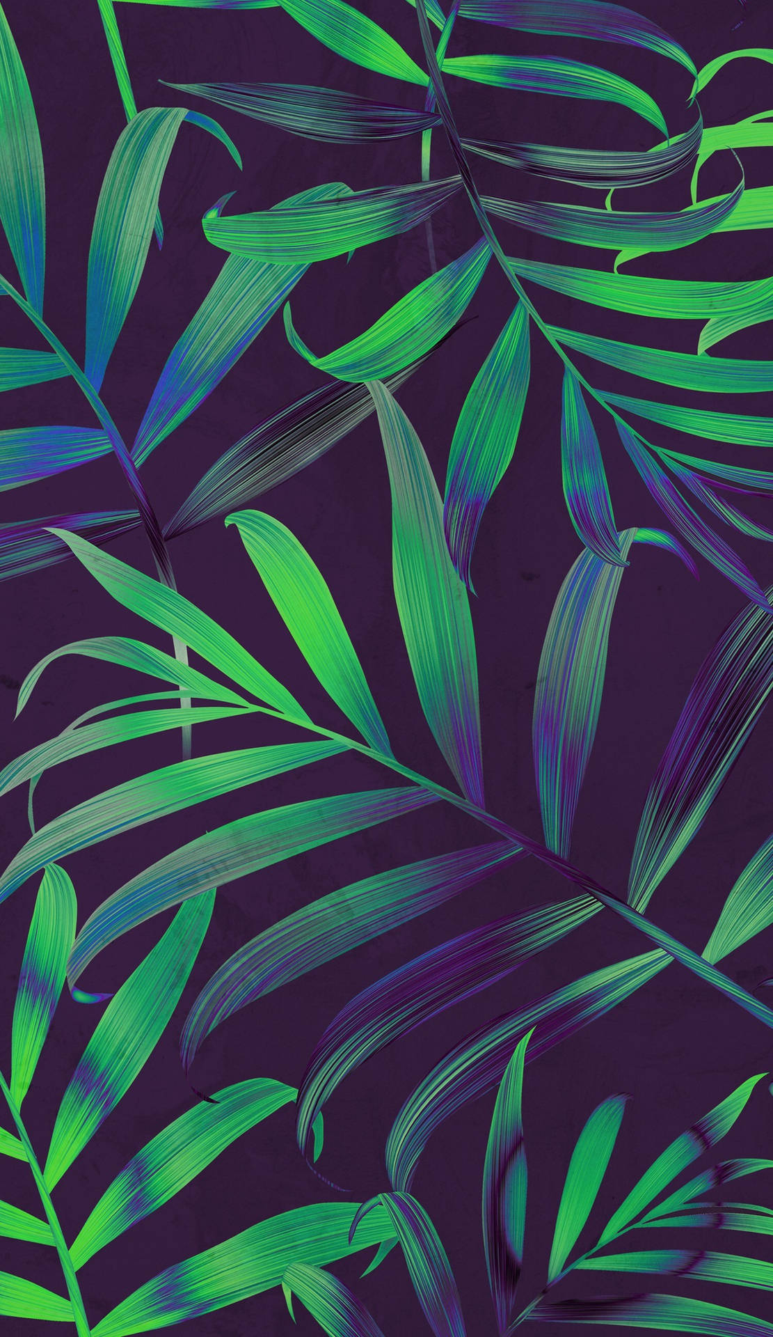 Long Leaves Iphone Background