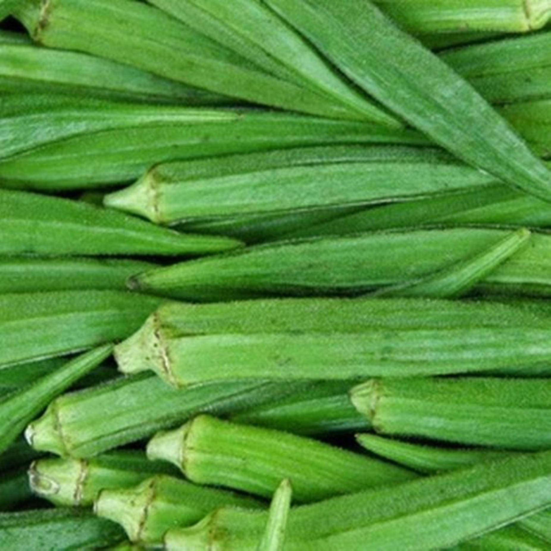 Long Okra Vegetables Background