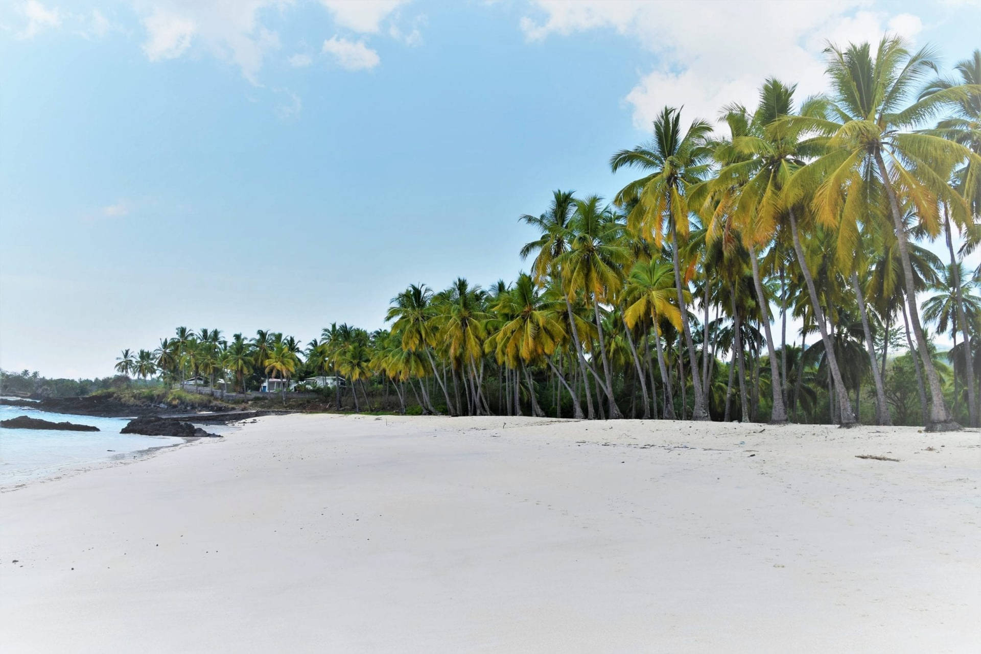 Long Stretch Beach Shore Comoros Background