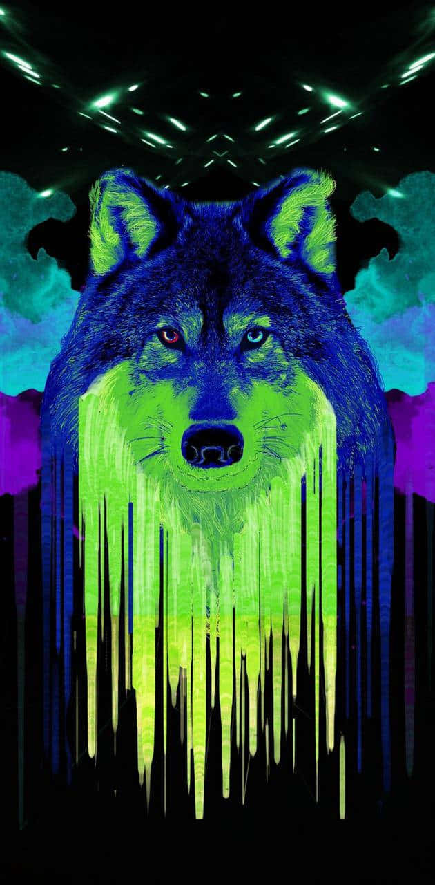 Look And Behold The Beauty Of This Majestic Rainbow Wolf Background