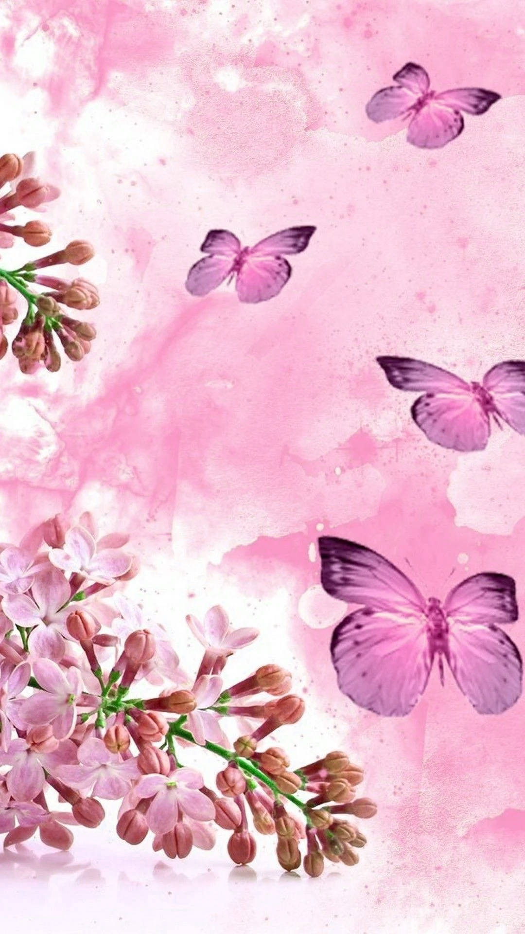 Look And Feel The Beauty Of Spring With This Cute Phone Background