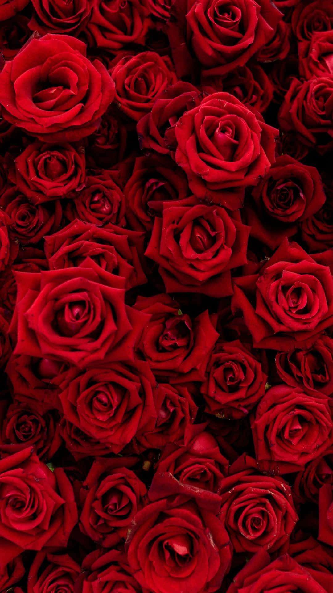 Look At This Cute Red Iphone! Background