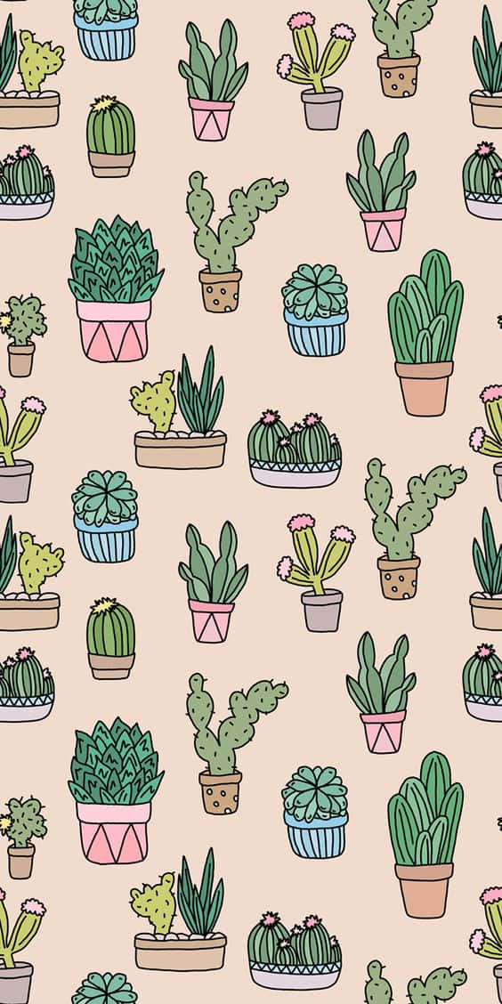 Look Cool With The Cactus Iphone Background