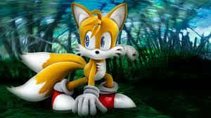 Look Into The Wild With Tails Background