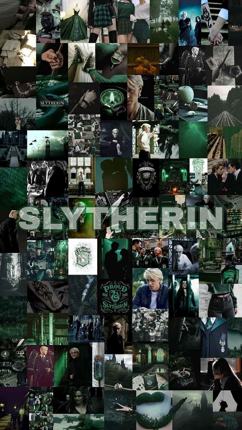 Look Who’s Ready For Some Slytherin Mischief