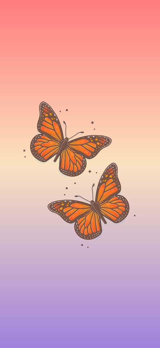 Looking Graceful And Beautiful - This Cool Butterfly Is A Sight To Behold Background