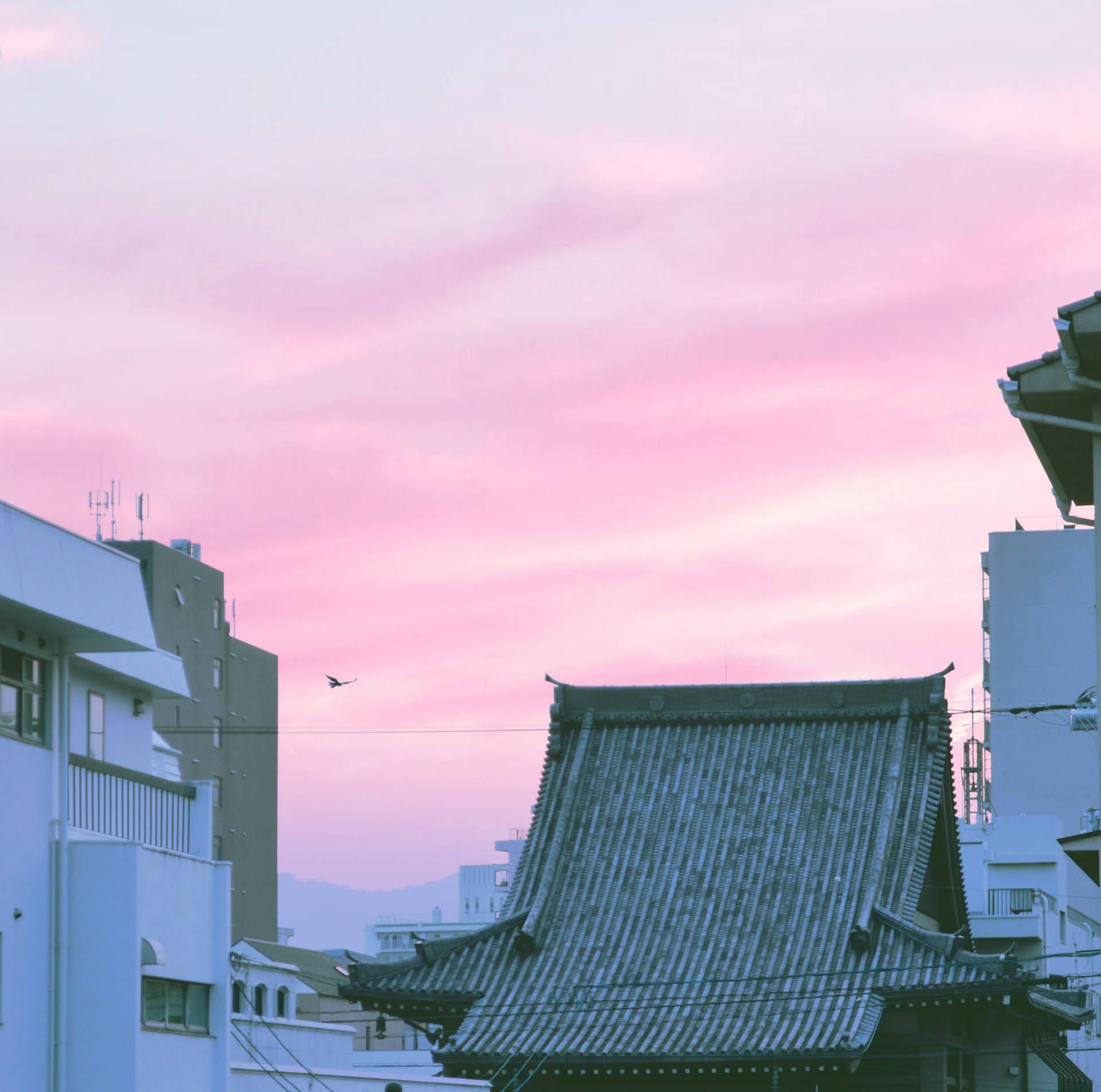 Looking Over Pastel Japanese Aesthetic View Background