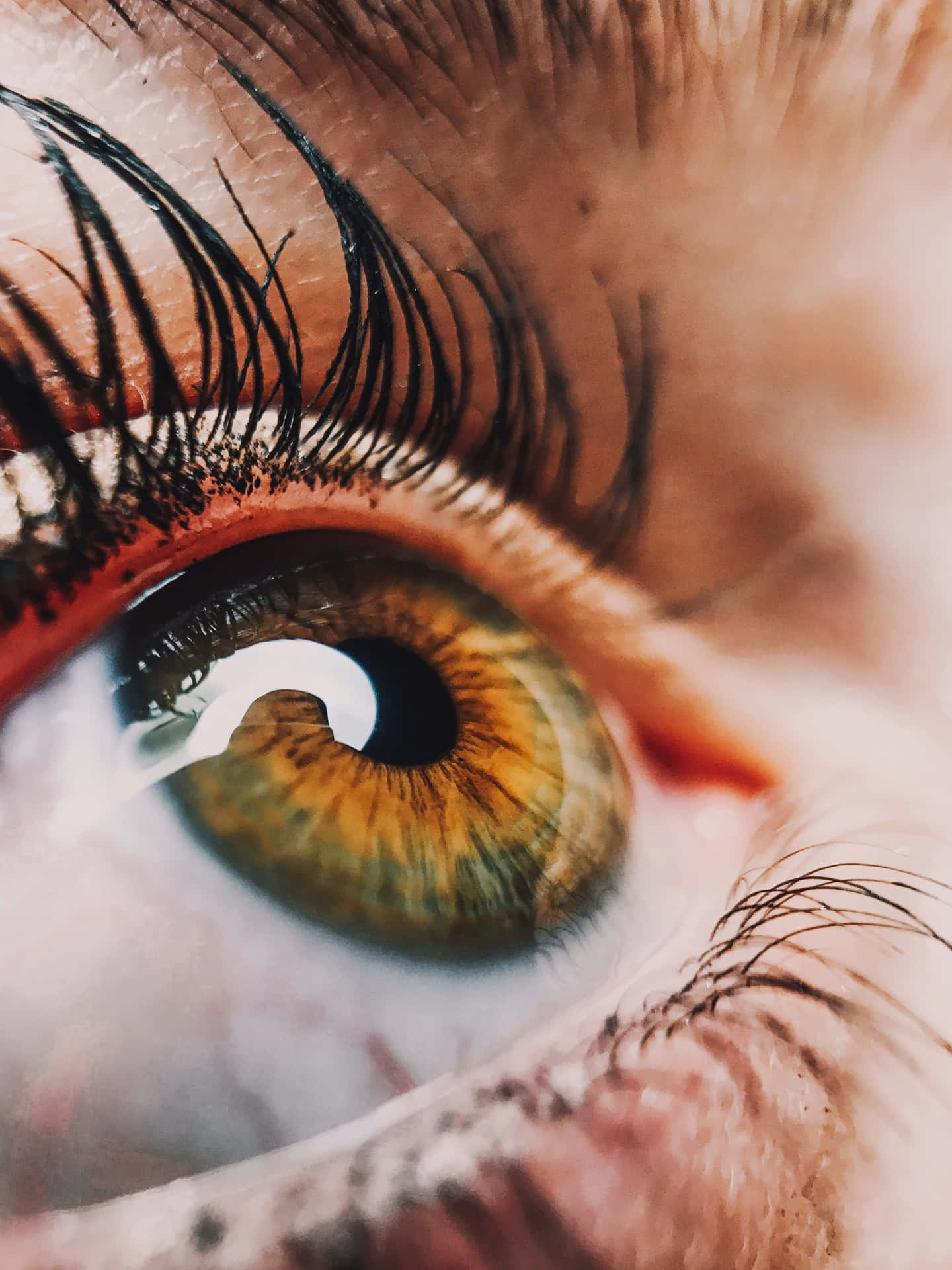 Looking Up Hazel Eye Closeup