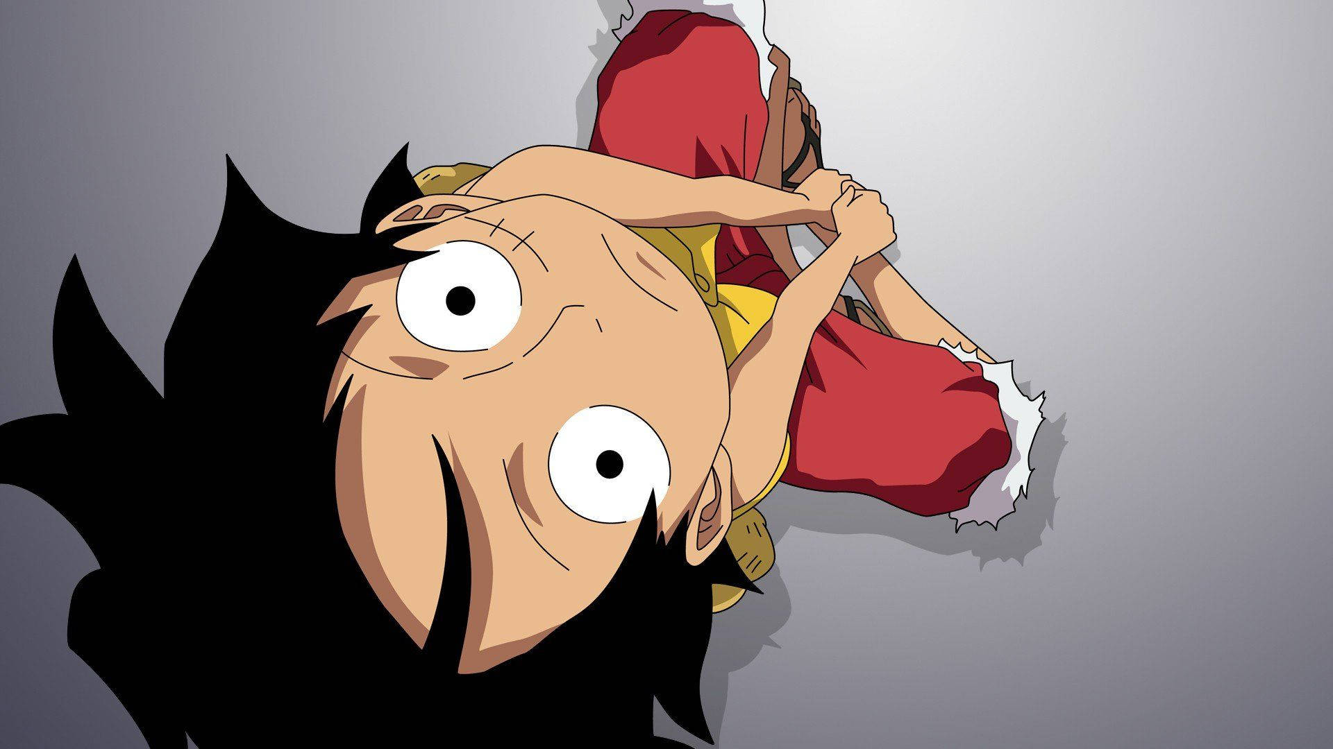 Looking Up Pose Of Luffy Funny Background