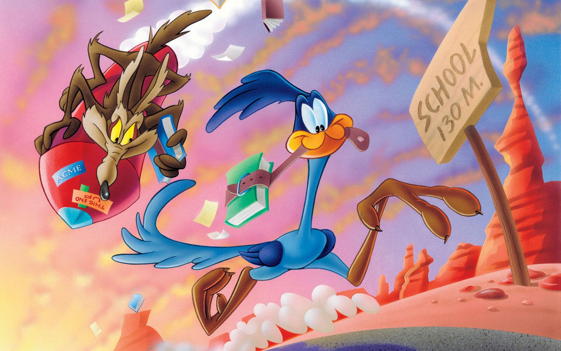 Looney Tunes Road Runner And Coyote Background