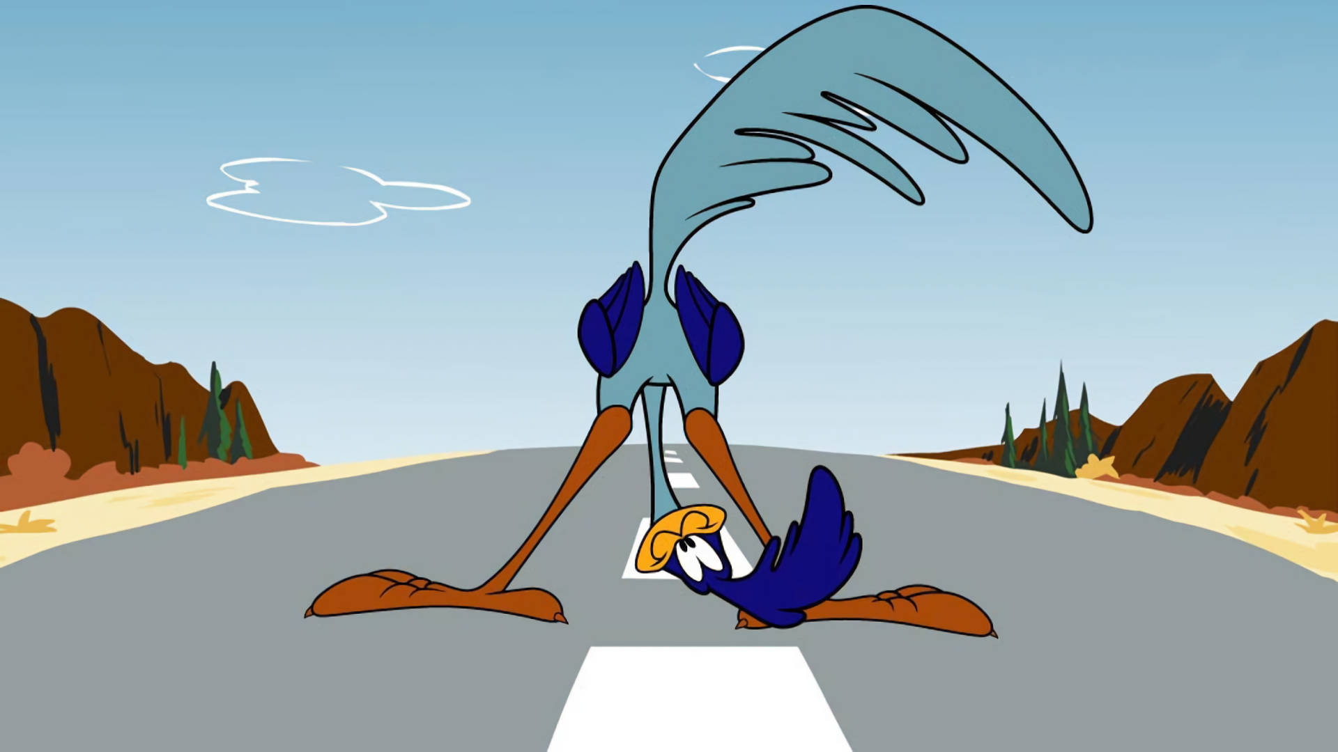 Looney Tunes Road Runner Background