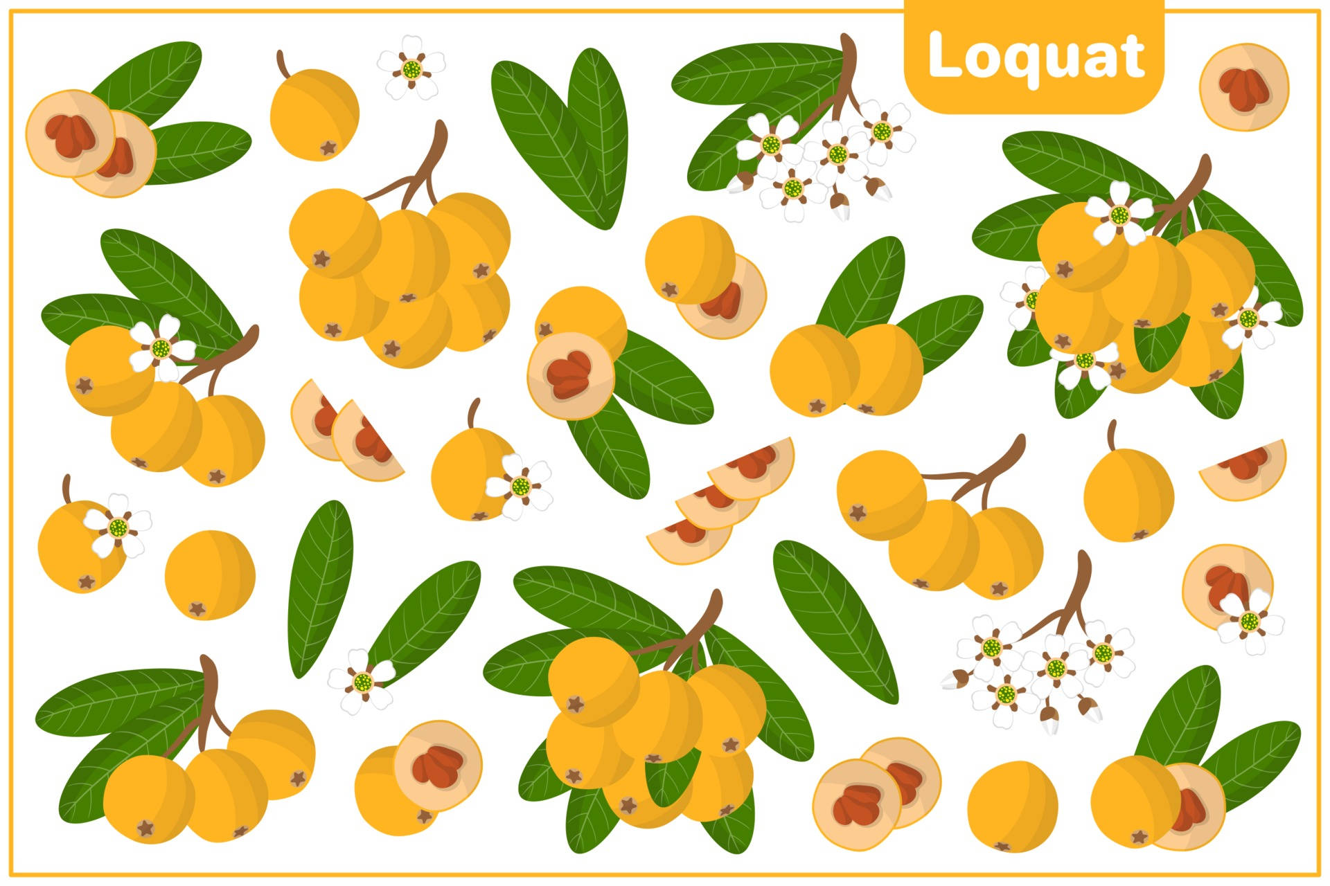 Loquat Fruits Animation Background