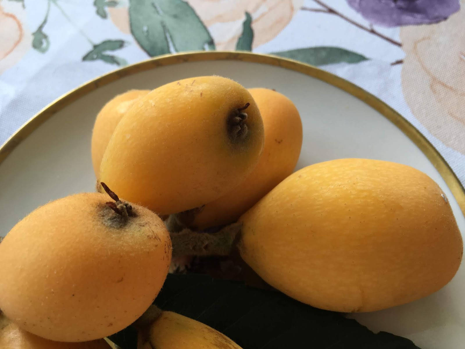 Loquat Fruits Oblong Shape Background