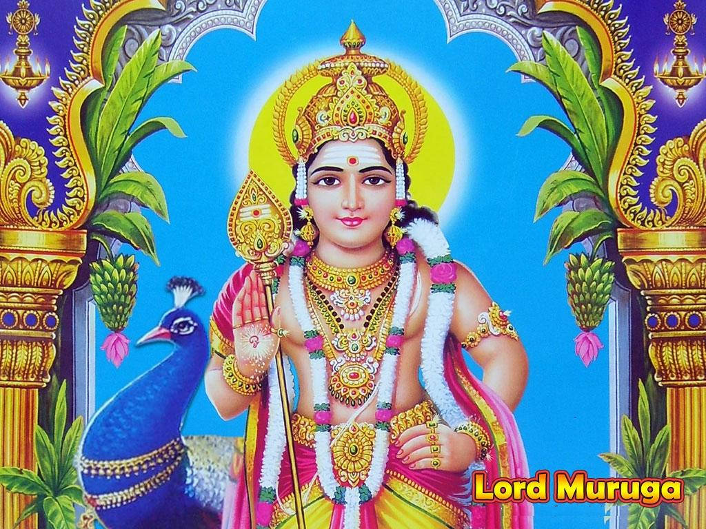 Lord Murugan 4k Golden Arc With Peacock Background