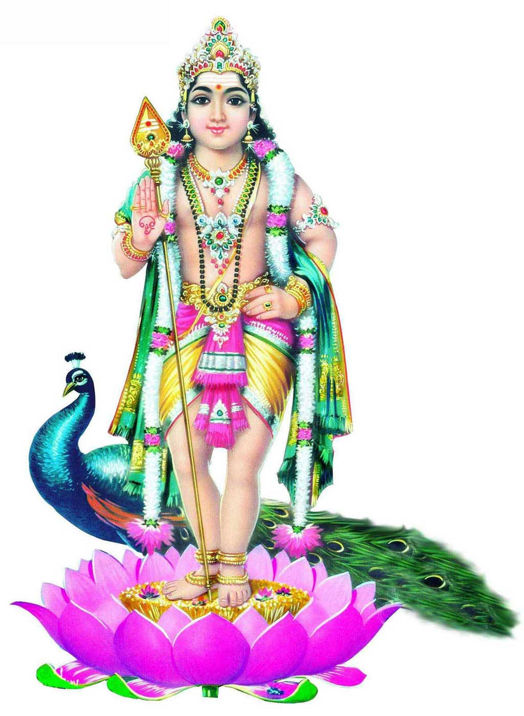 Lord Murugan 4k On Lotus With Peacock Background