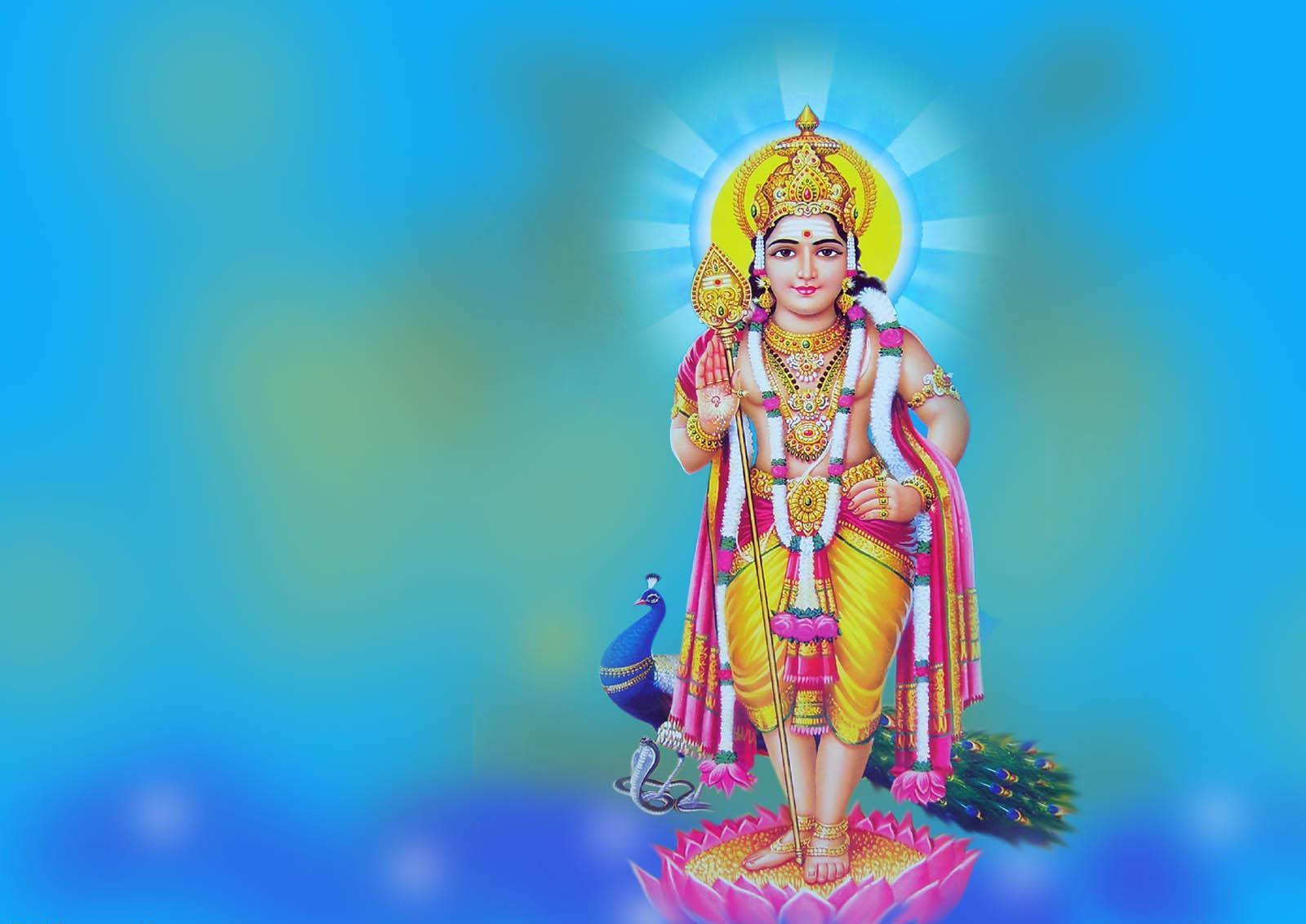 Lord Murugan 4k With Peacock On Blue Background