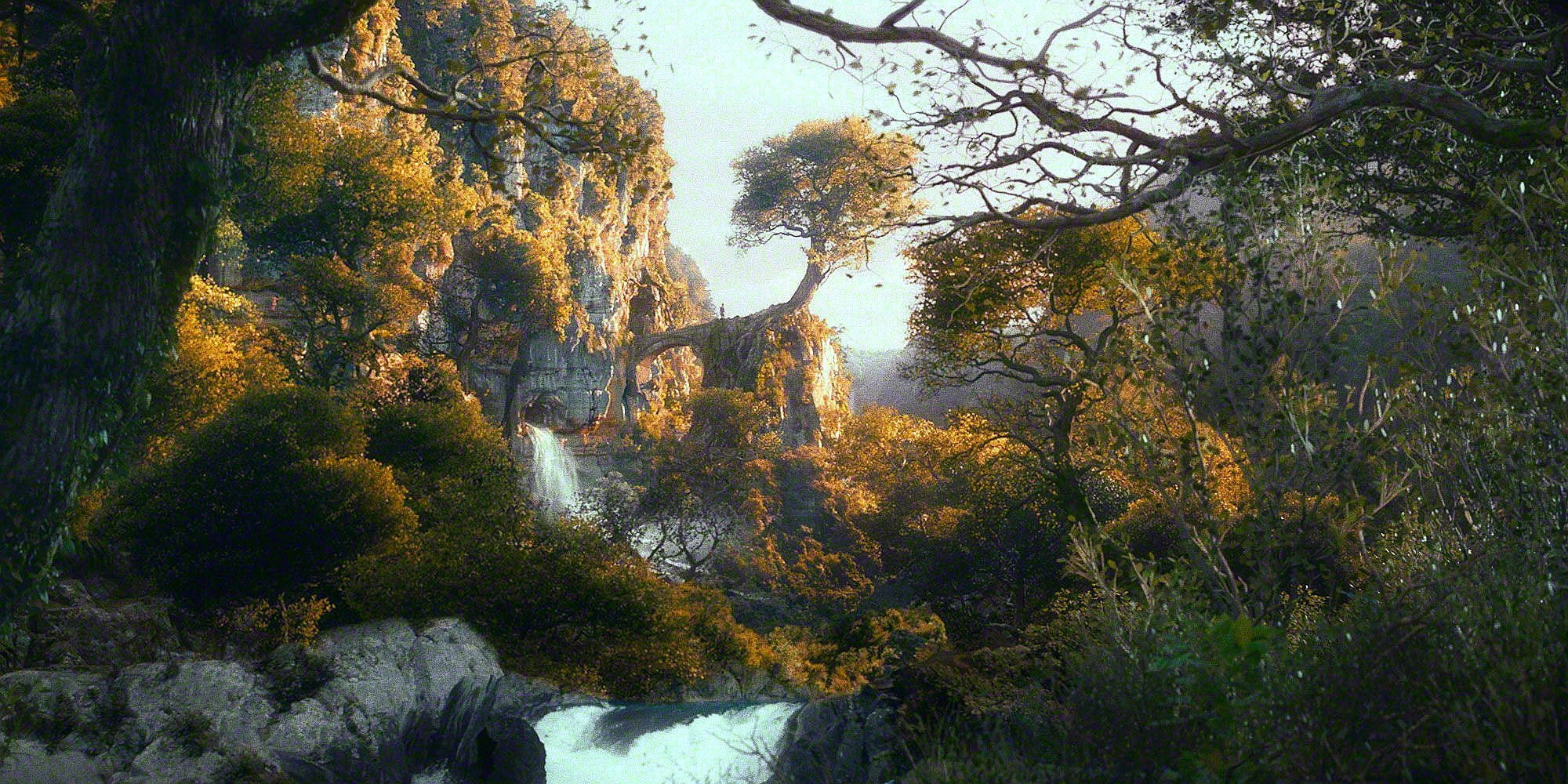 Lord Of The Rings Landscape Forest Background