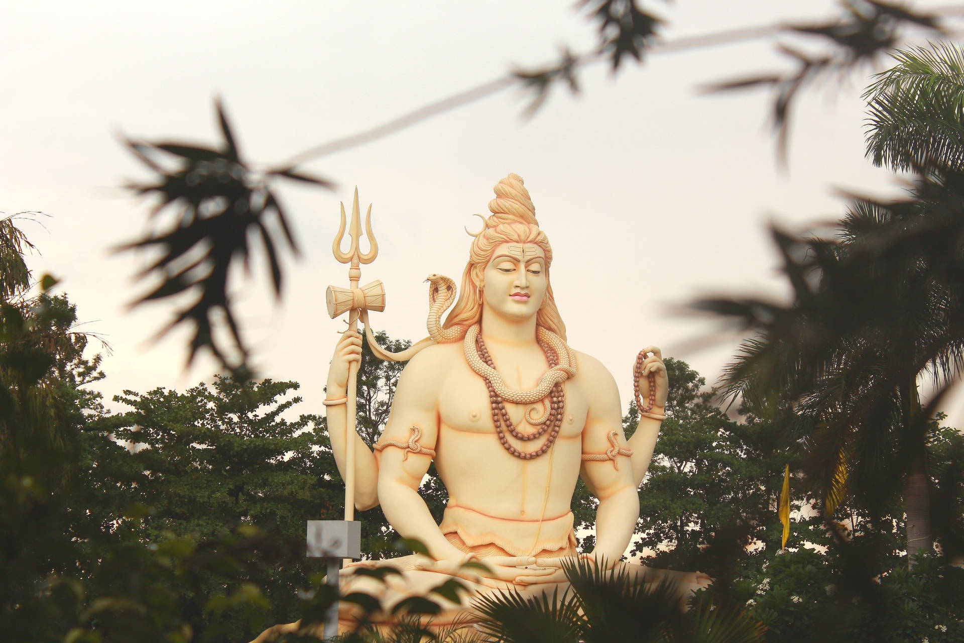 Lord Shiva 8k In Forest Background