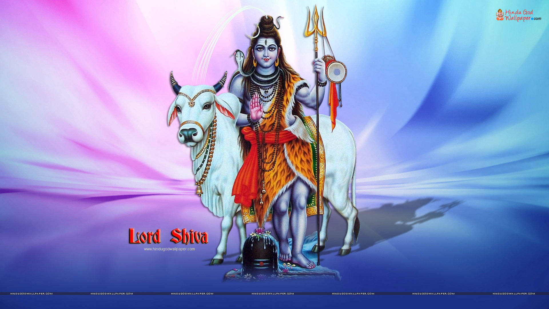 Lord Shiva And Cow Background