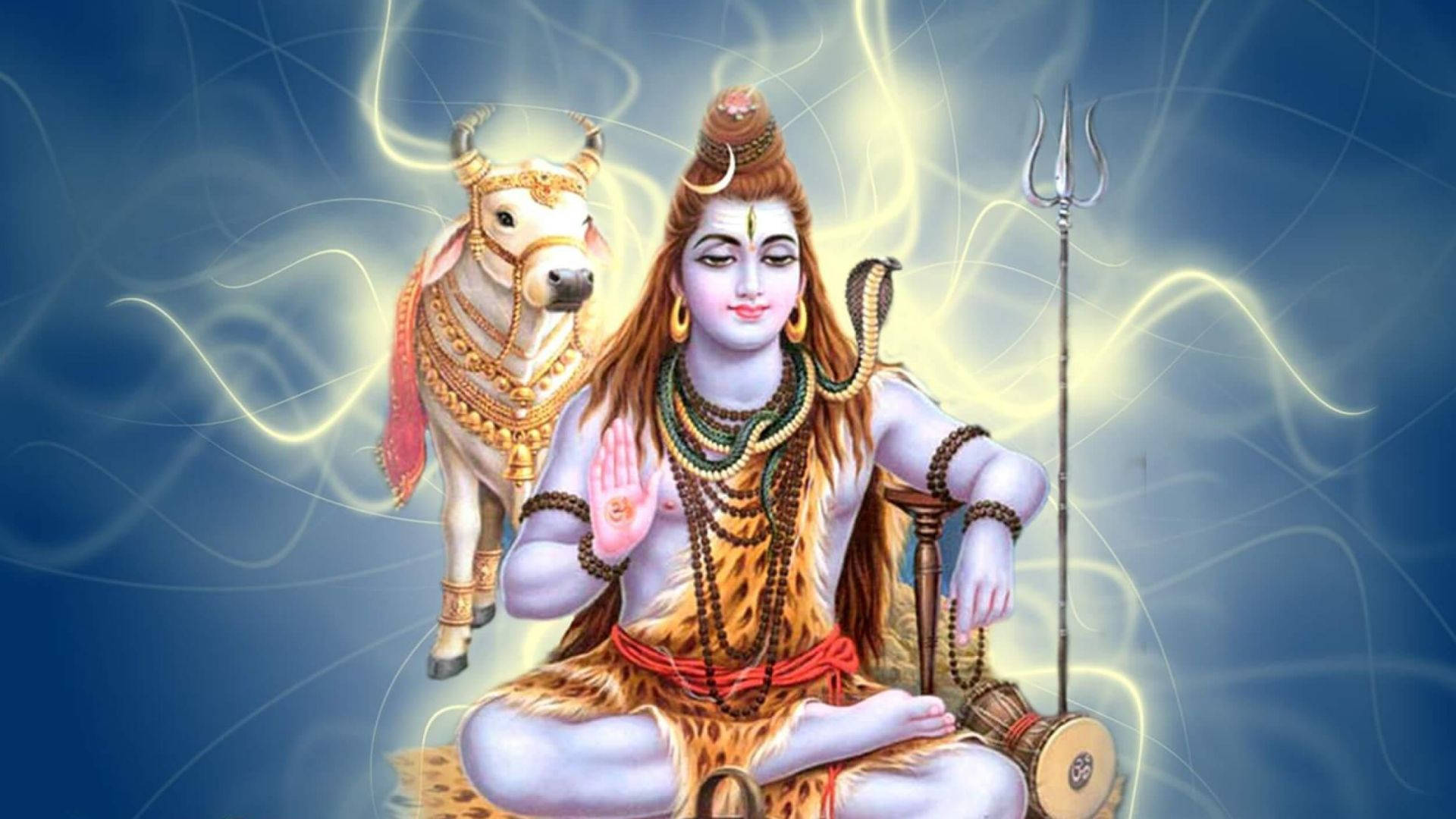 Lord Shiva Hd With Cow Background