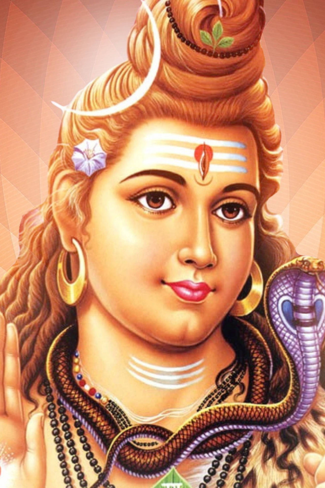 Lord Shiva Portrait Background