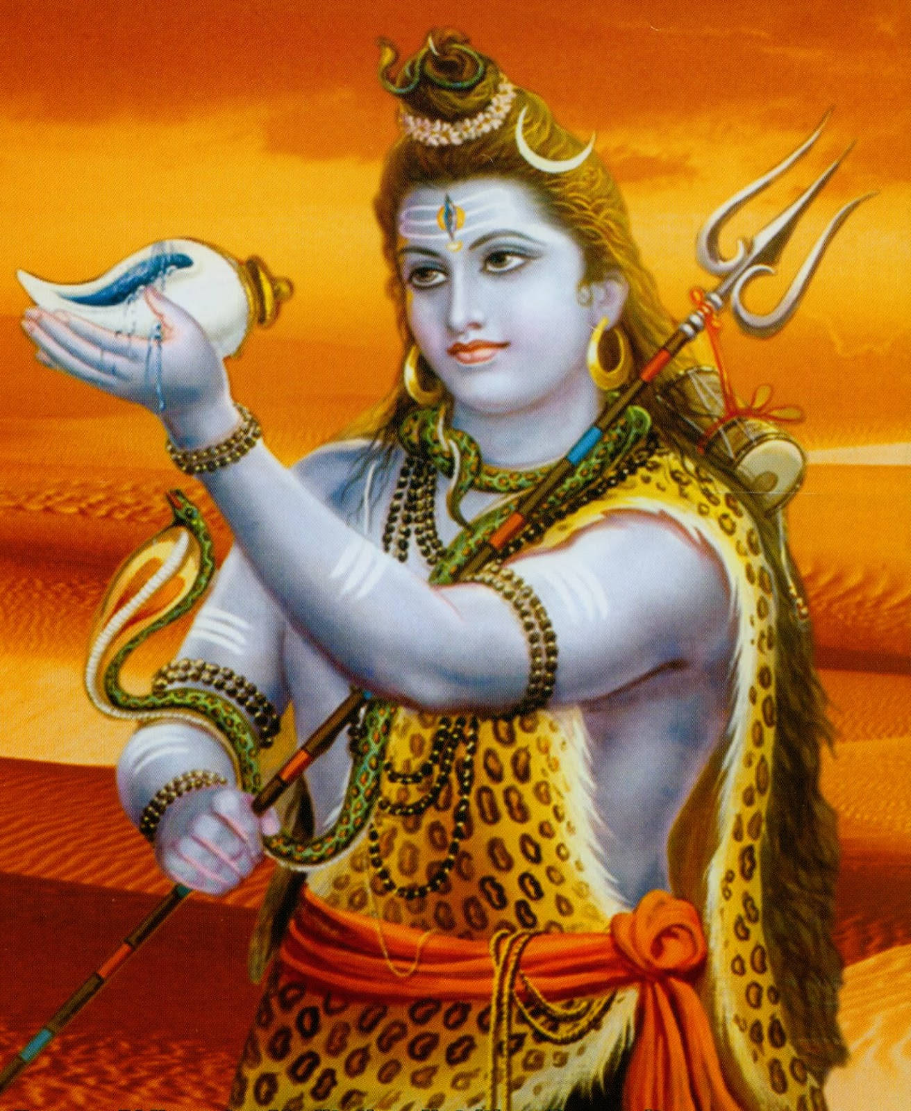 Lord Shiva Shell Background