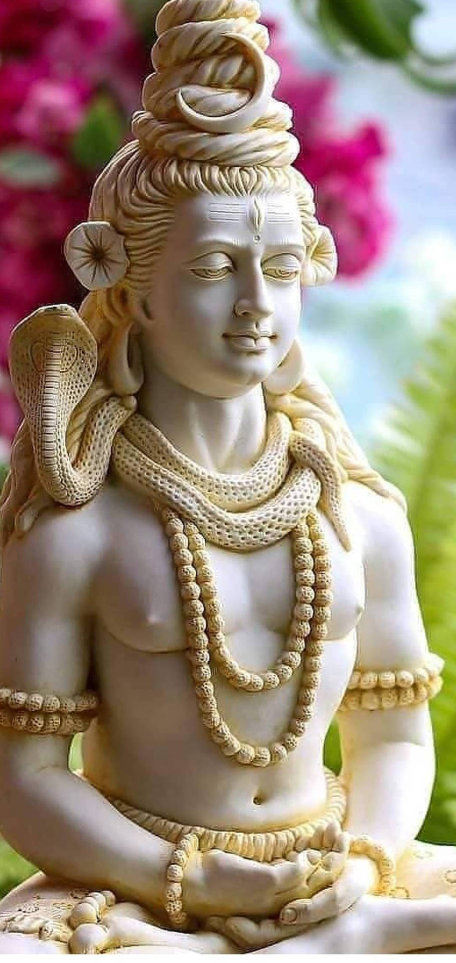 Lord Shiva Stone Figure Background