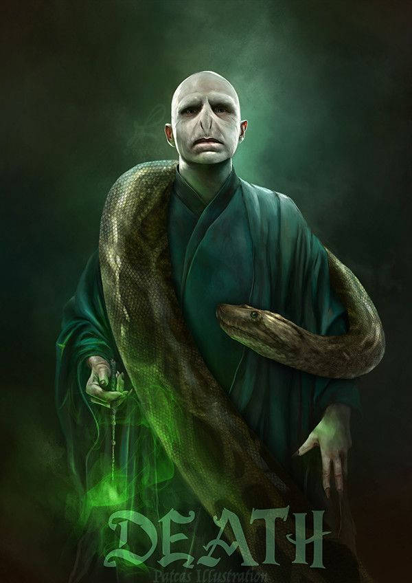 Lord Voldemort Snake Art Background
