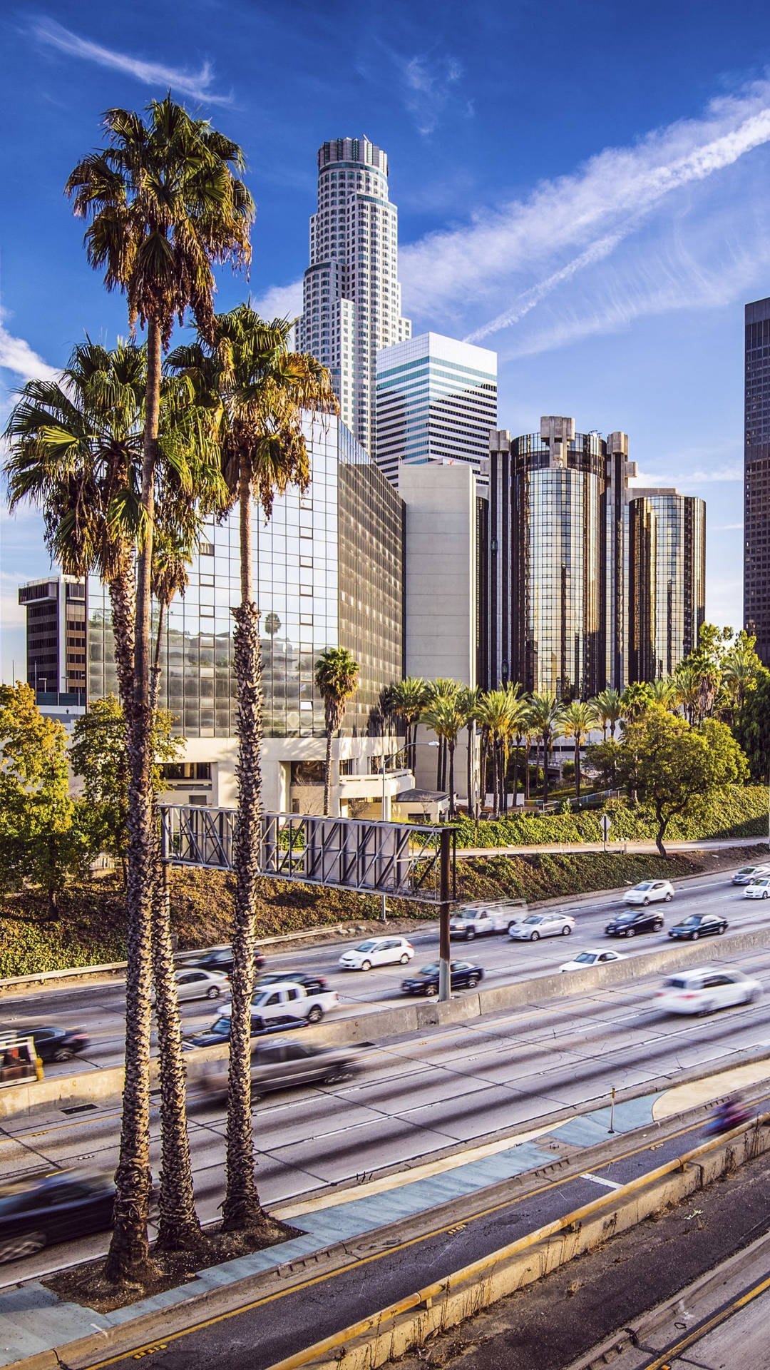 Los Angeles City Highway And Buildings Background