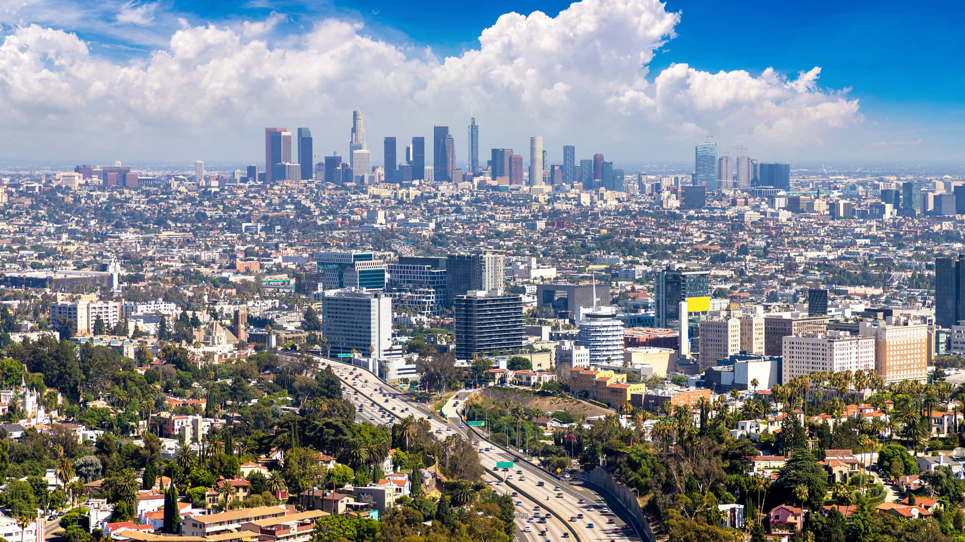 Los Angeles Daytime Skyline Background