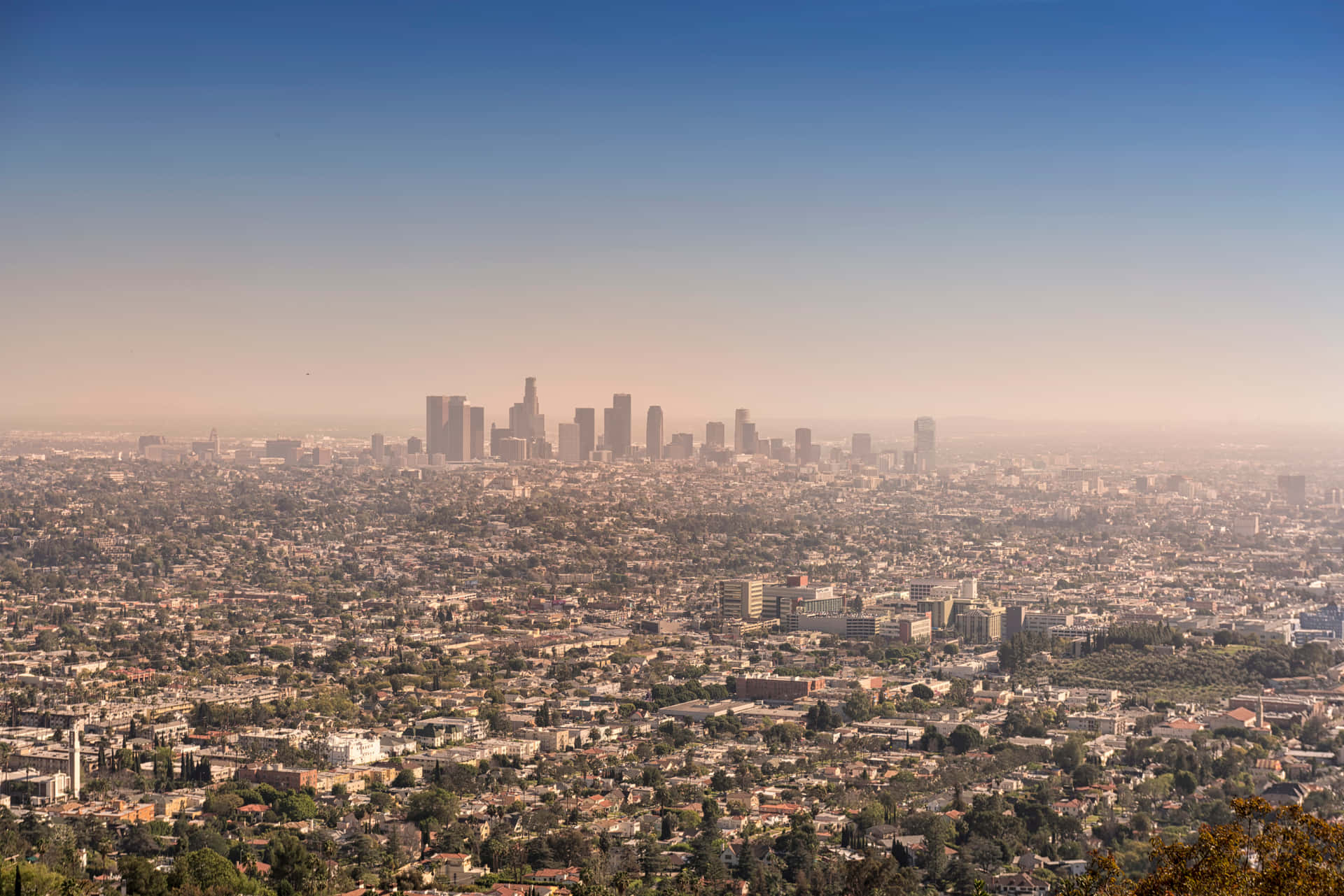 Los Angeles Hazy City Skyline