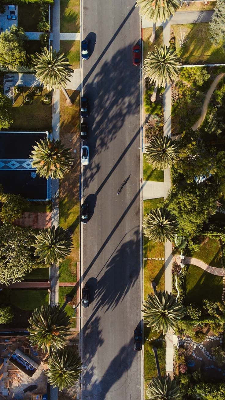 Los Angeles Iphone Screen Theme Background