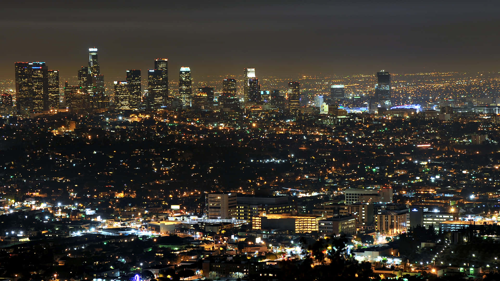 Los Angeles Night View Skyline Background