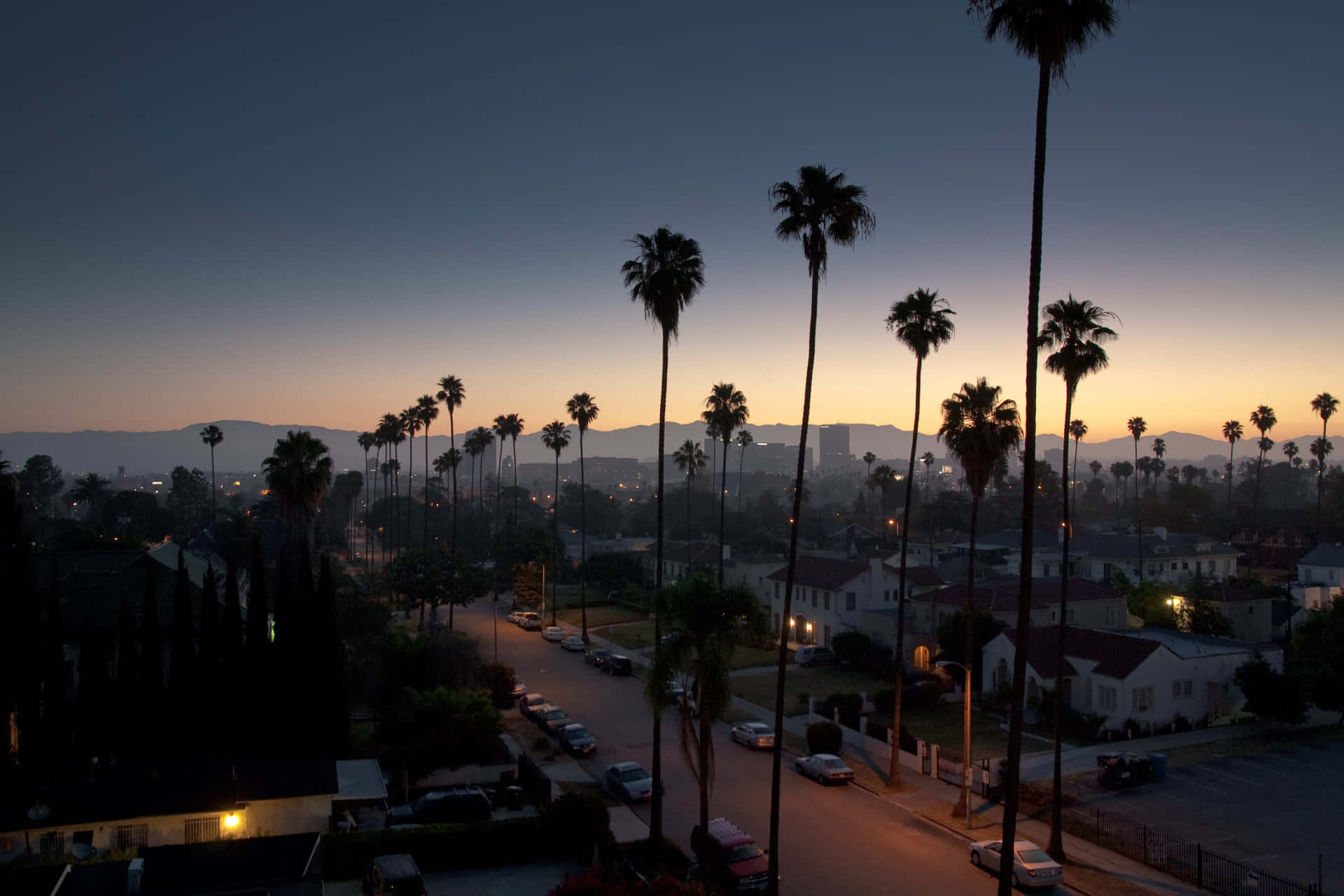 Los Angeles Skyline With Tall Palm Trees Background