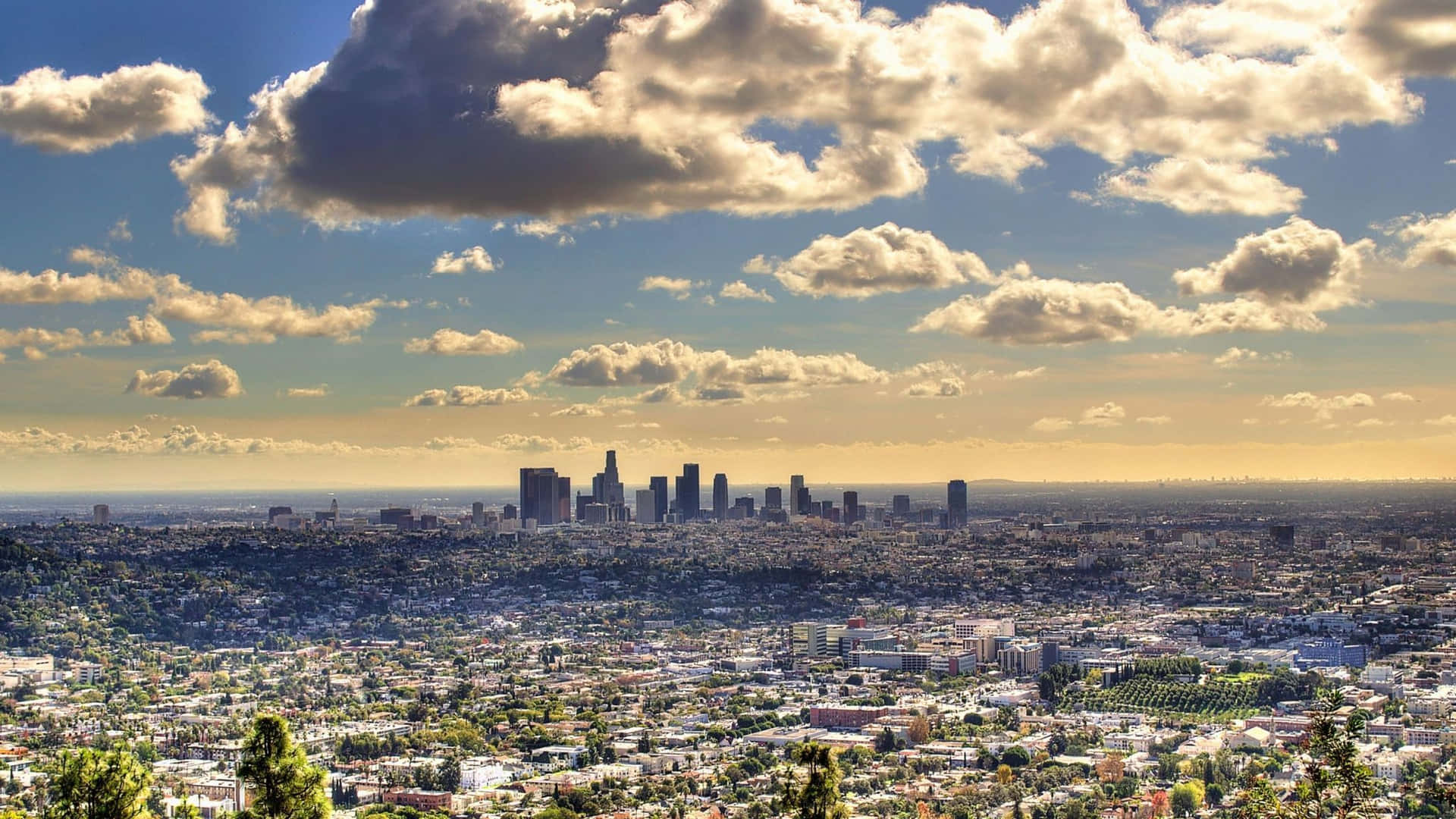 Los Angeles Urban Skyline