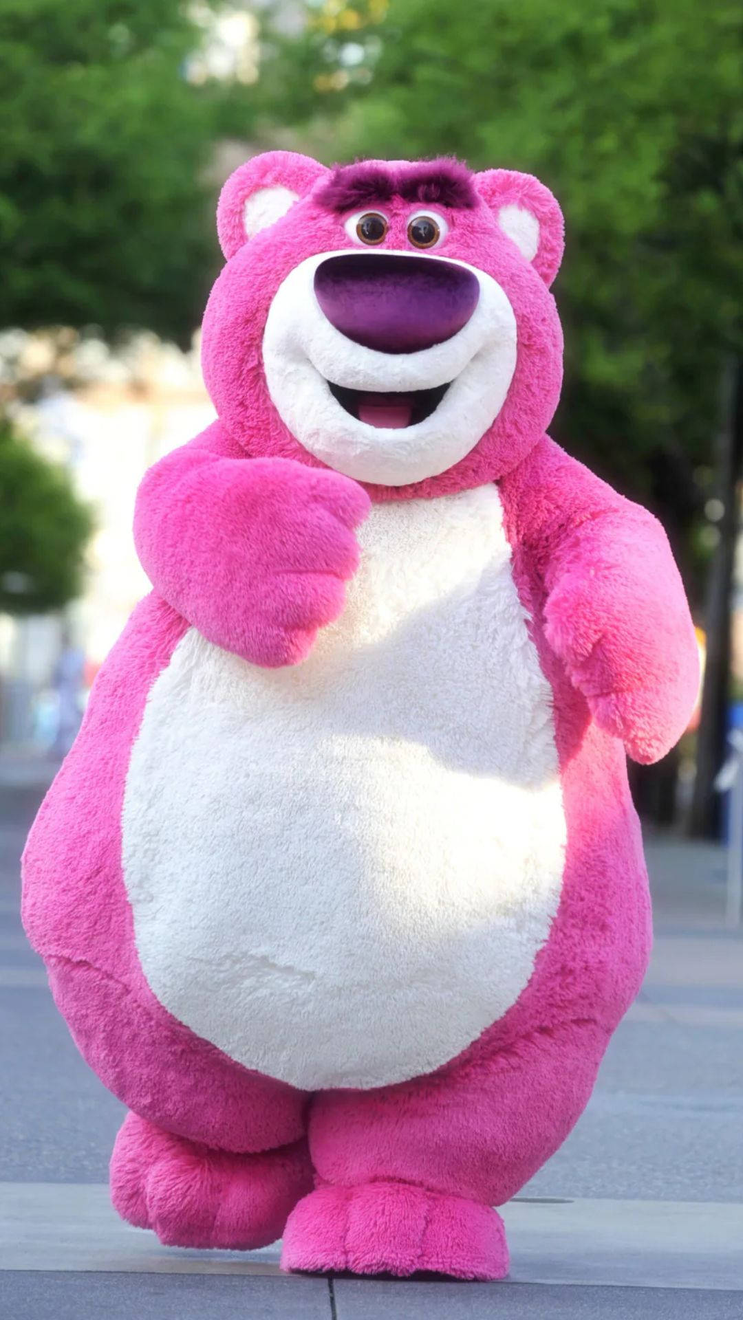 Lotso Mascot Background