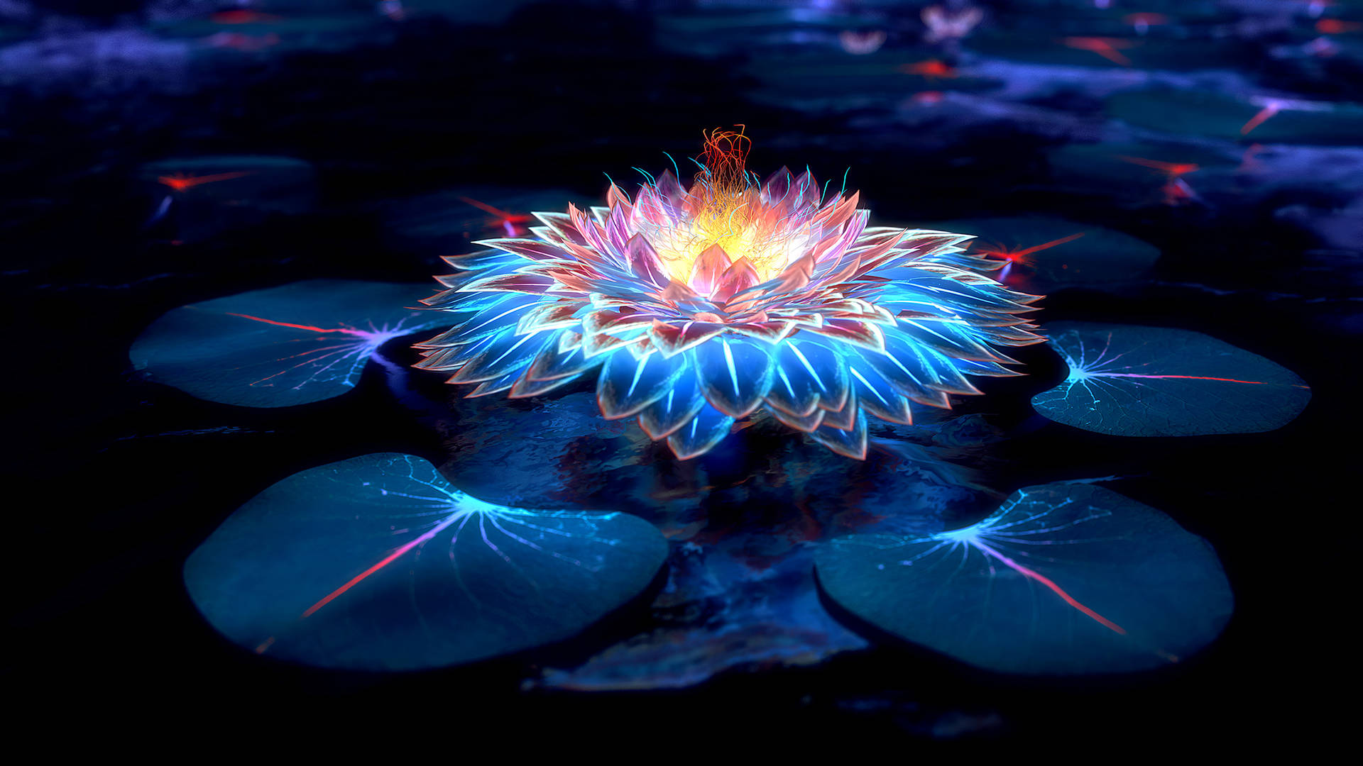 Lotus And Lights In The Dark