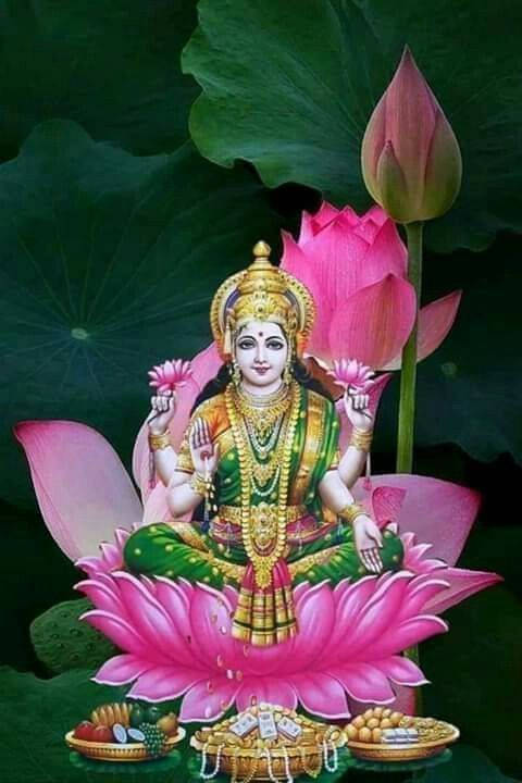 Lotus Buds Lakshmi Background