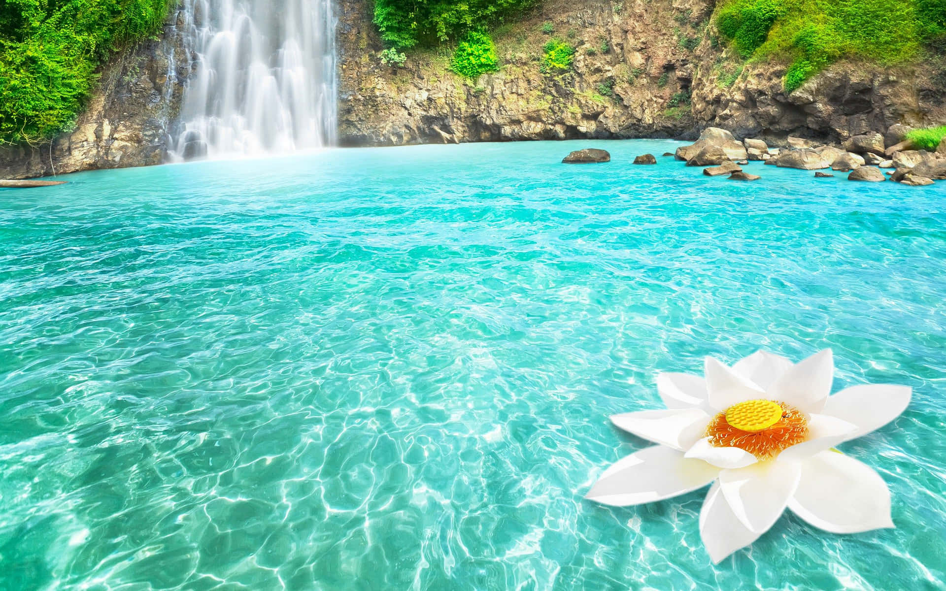 Lotus Flower Dambri Vietnam Waterfall Desktop Background