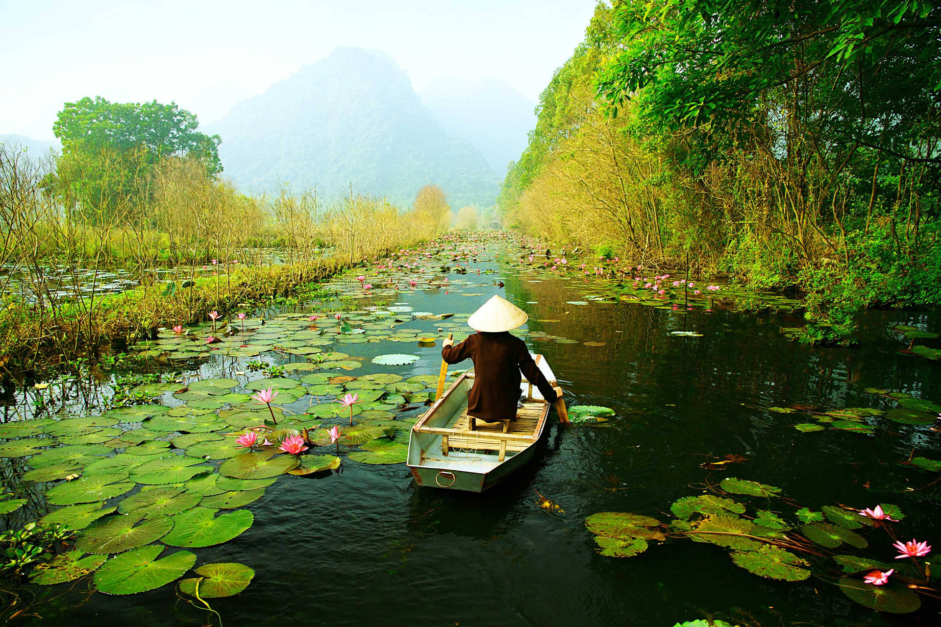 Lotus Lake In Hanoi Background