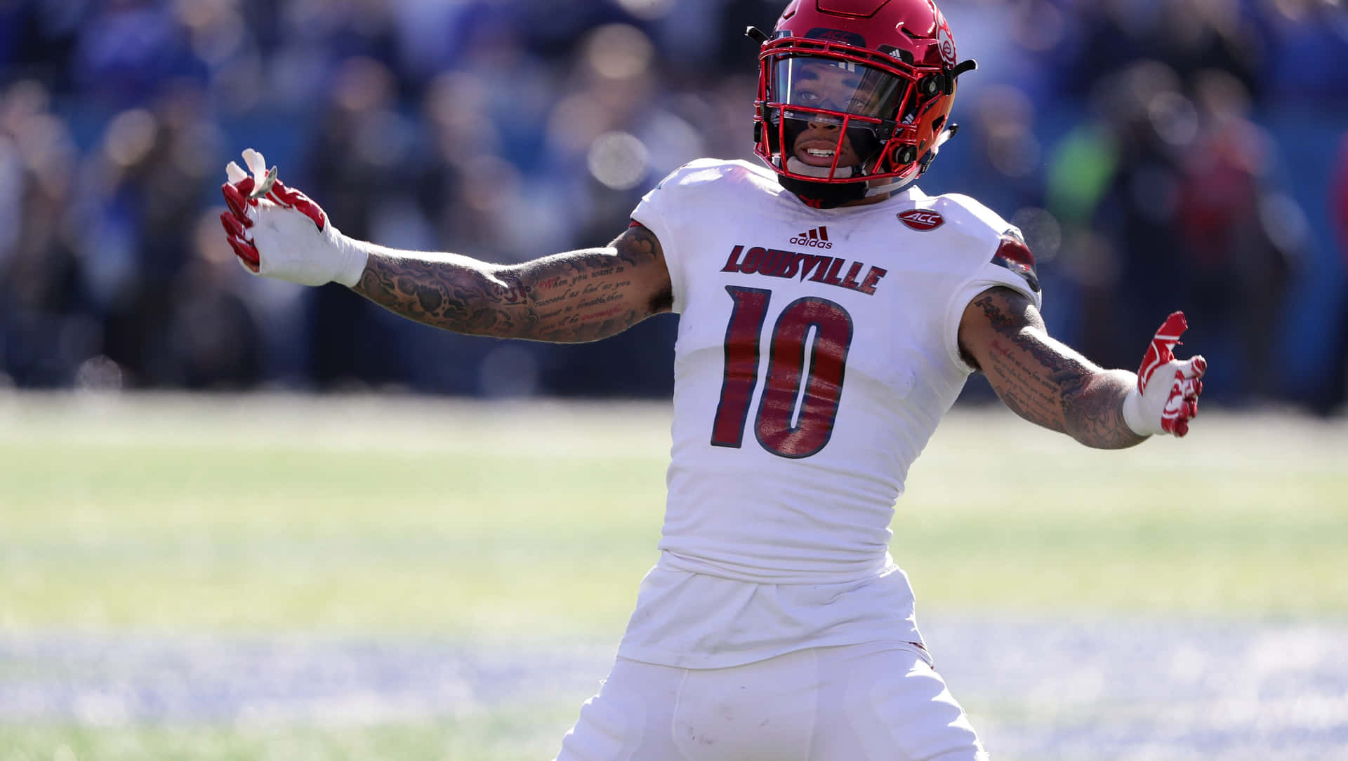 Louisville Football Player Celebration Background