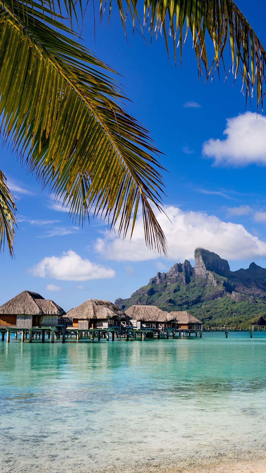 Lounge In Luxury On The Stunning Shores Of Bora Bora. Background