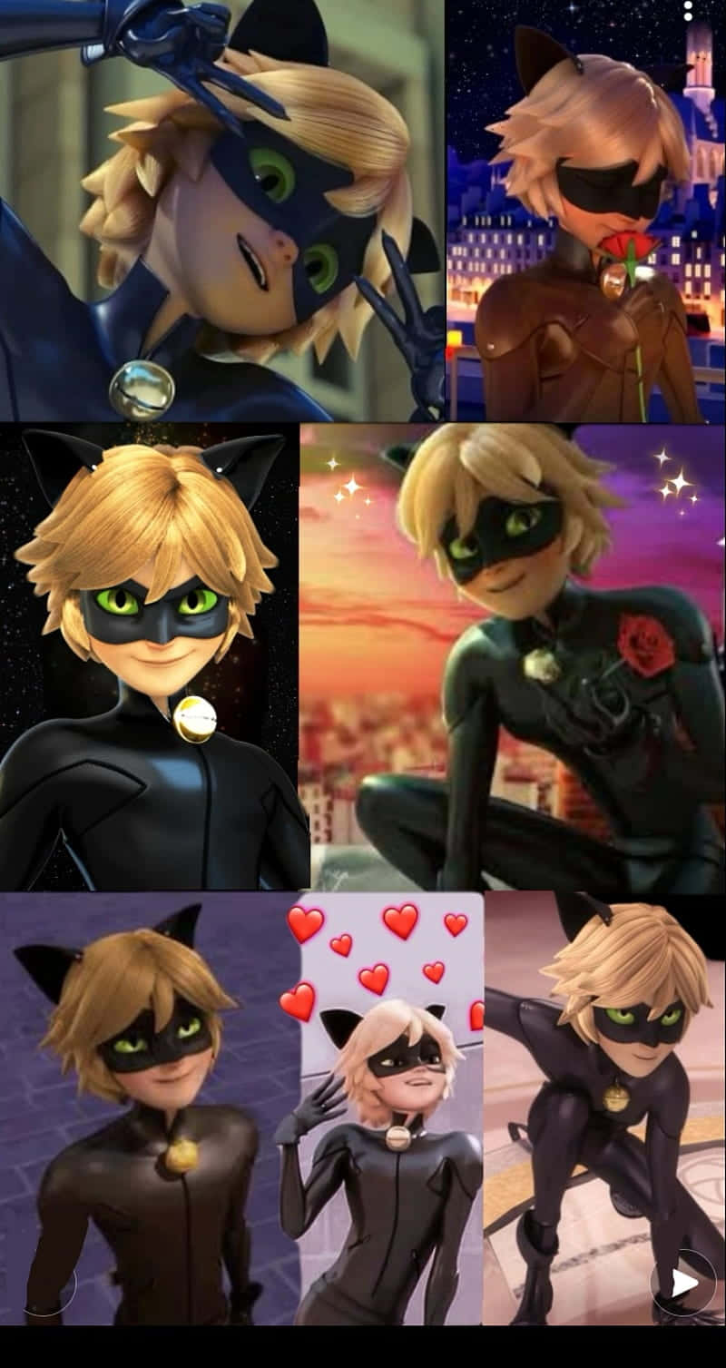 Lovable Hero Cute Cat Noir Background
