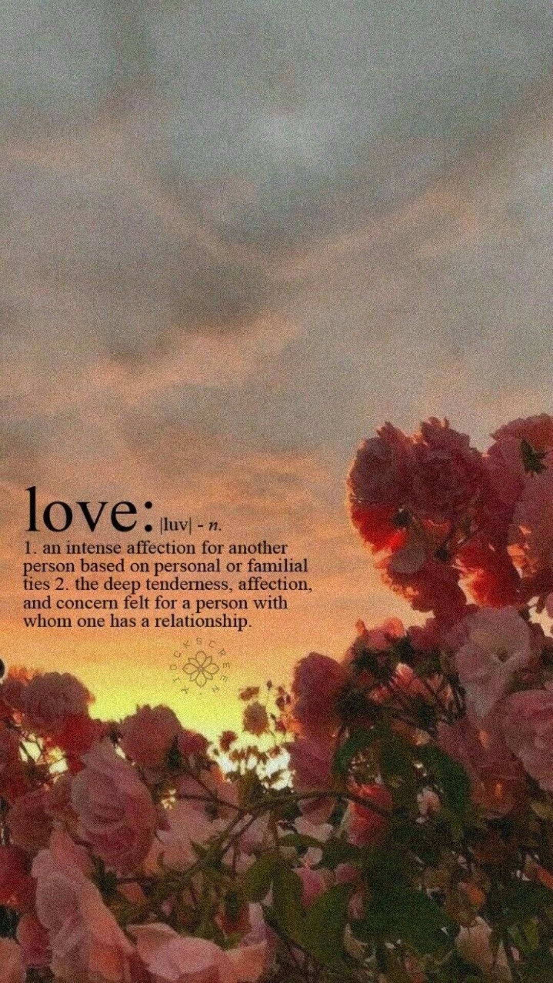 Love Aesthetic Definition Background